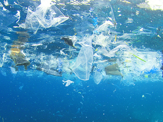 海のプラスチックごみについて考える