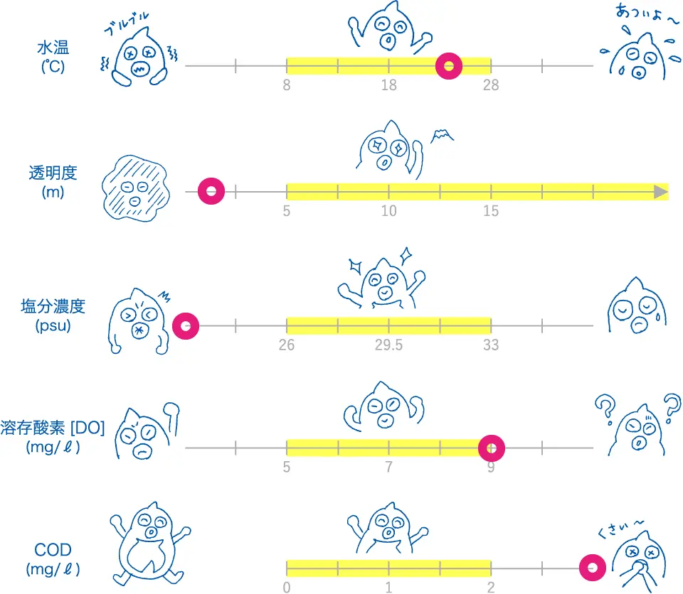 第91回水質調査結果