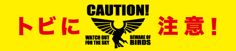 トビに注意！