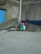 第17回海さくらゴミ拾い