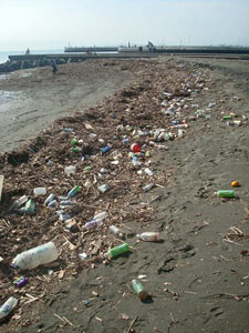 第19回海さくらゴミ拾い