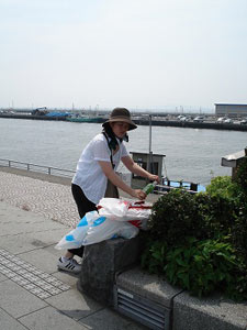 第23回海さくらゴミ拾い