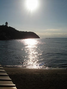 第27回海さくらゴミ拾い