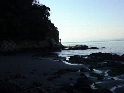 第29回海さくらゴミ拾い