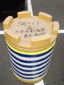 第34回海さくらゴミ拾い