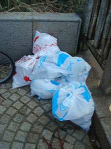 第36回海さくらゴミ拾い