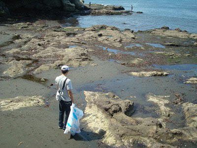 第37回海さくらゴミ拾い