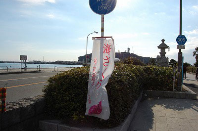 第41回海さくらゴミ拾い