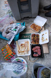 第41回海さくらゴミ拾い