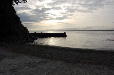 第44回海さくらゴミ拾い