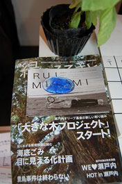 第47回海さくらゴミ拾い