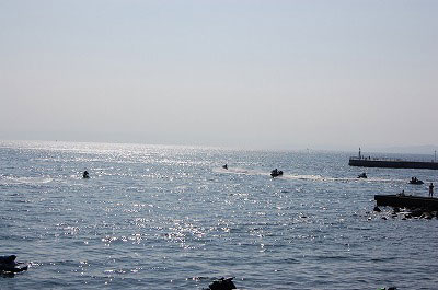 第48回海さくらゴミ拾い