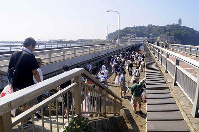 第49回海さくらゴミ拾い