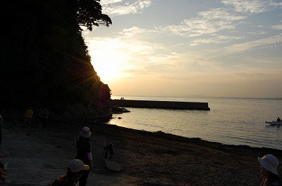 第50回海さくらゴミ拾い