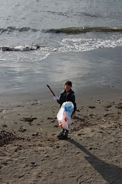 第51回海さくらゴミ拾い