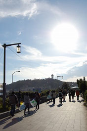 第52回海さくらゴミ拾い