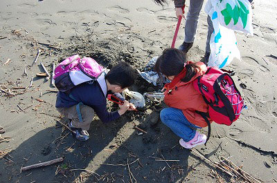 第52回海さくらゴミ拾い