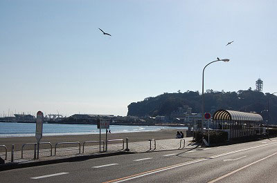 第53回海さくらゴミ拾い