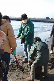 第53回海さくらゴミ拾い