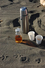 第53回海さくらゴミ拾い