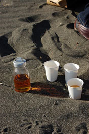 第53回海さくらゴミ拾い