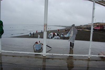 第56回海さくらゴミ拾い