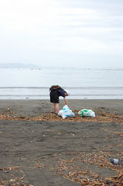 第57回海さくらゴミ拾い