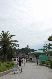 第58回海さくらゴミ拾い