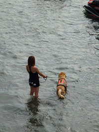 第58回海さくらゴミ拾い