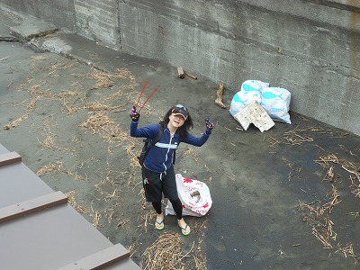 第59回海さくらゴミ拾い