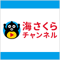 YouTube 海さくらチャンネル