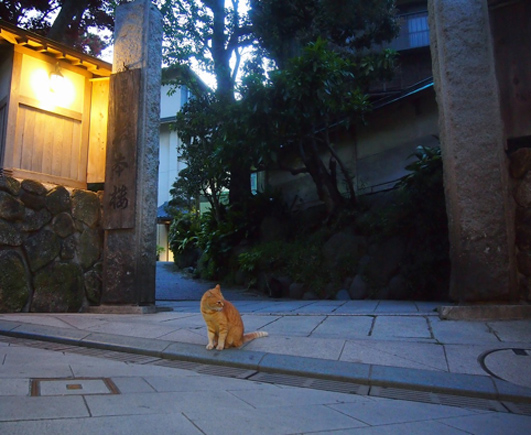 お食事処 老舗 鶴屋