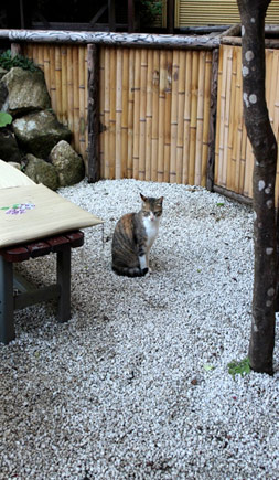 甘味処 あぶらや