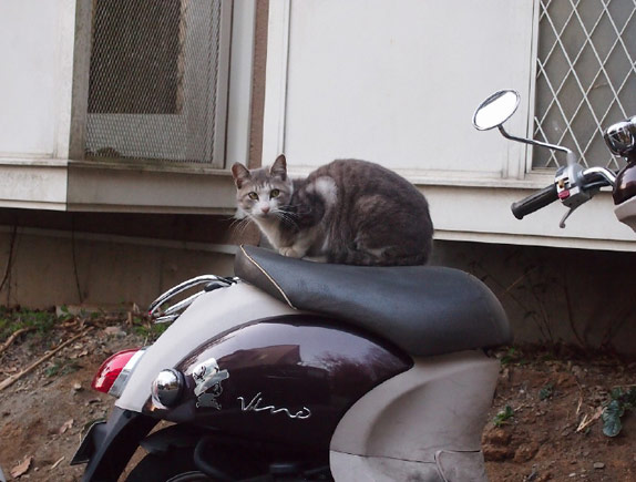  日月日 -にちげつか-