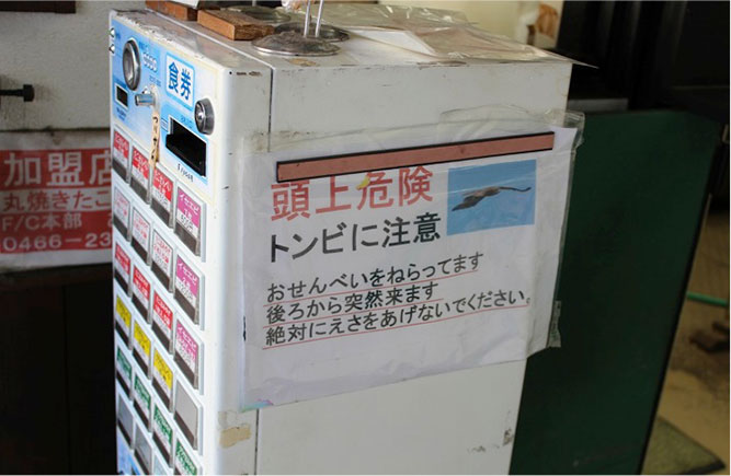 丸焼きたこせんべい あさひ本店