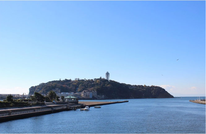 丸焼きたこせんべい あさひ本店