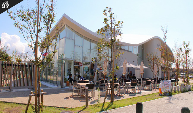 カフェ とびっちょ 江の島ヨットハーバー店