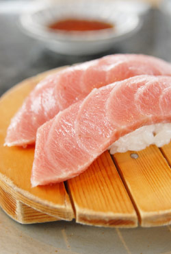 三浦三崎港　江の島店