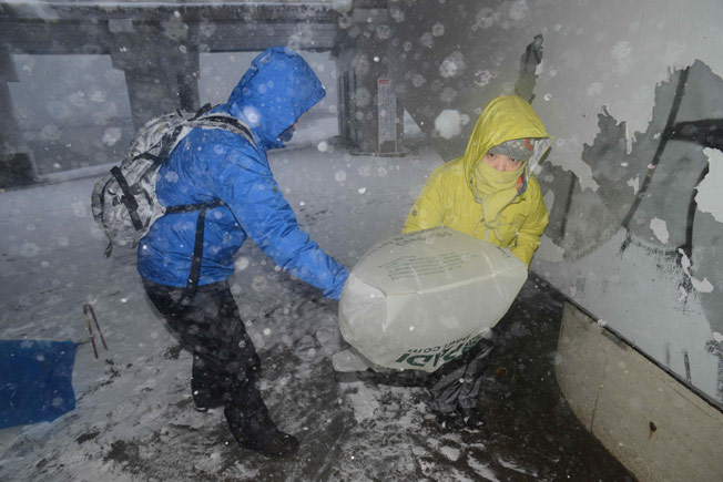 ファッションスナップ／第89回海さくらゴミ拾い