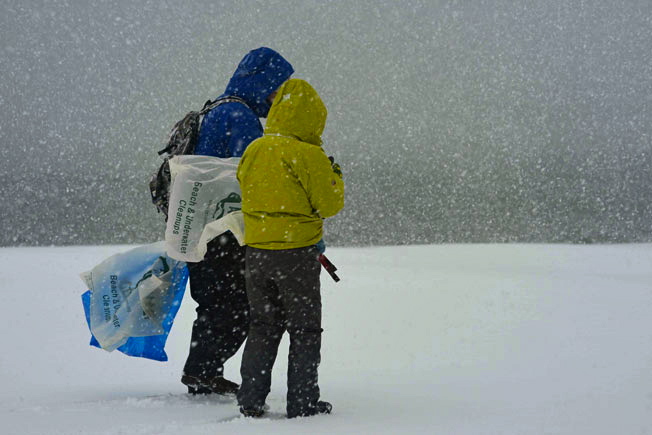 ファッションスナップ／第89回海さくらゴミ拾い