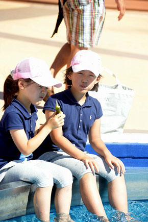 海さくらミュージックフェス 2012