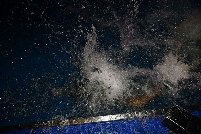 海さくらミュージックフェス 2012