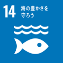 目標14:海の豊かさを守ろう