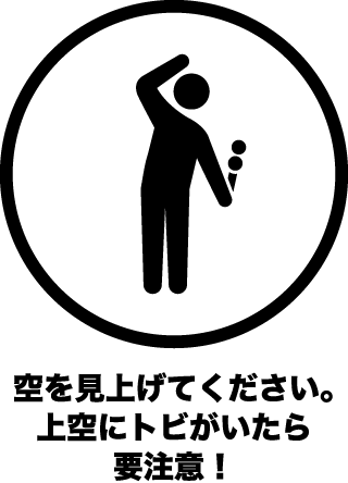 空を見上げてください。上空にとトビがいたら要注意！